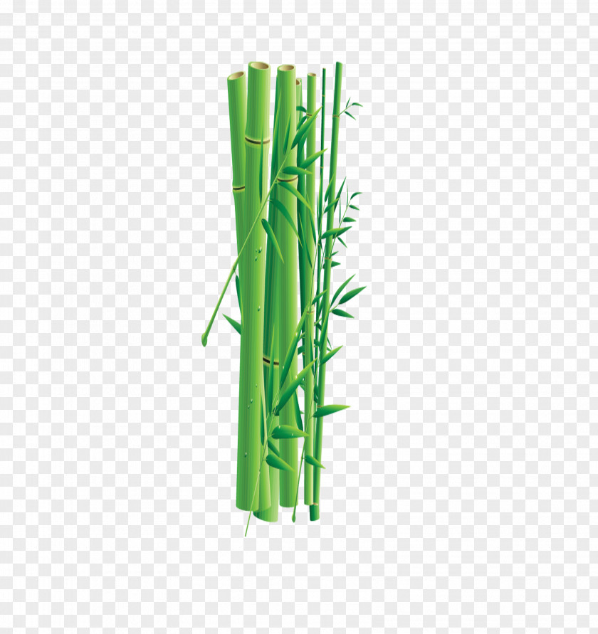 Green Bamboo Leaves PNG