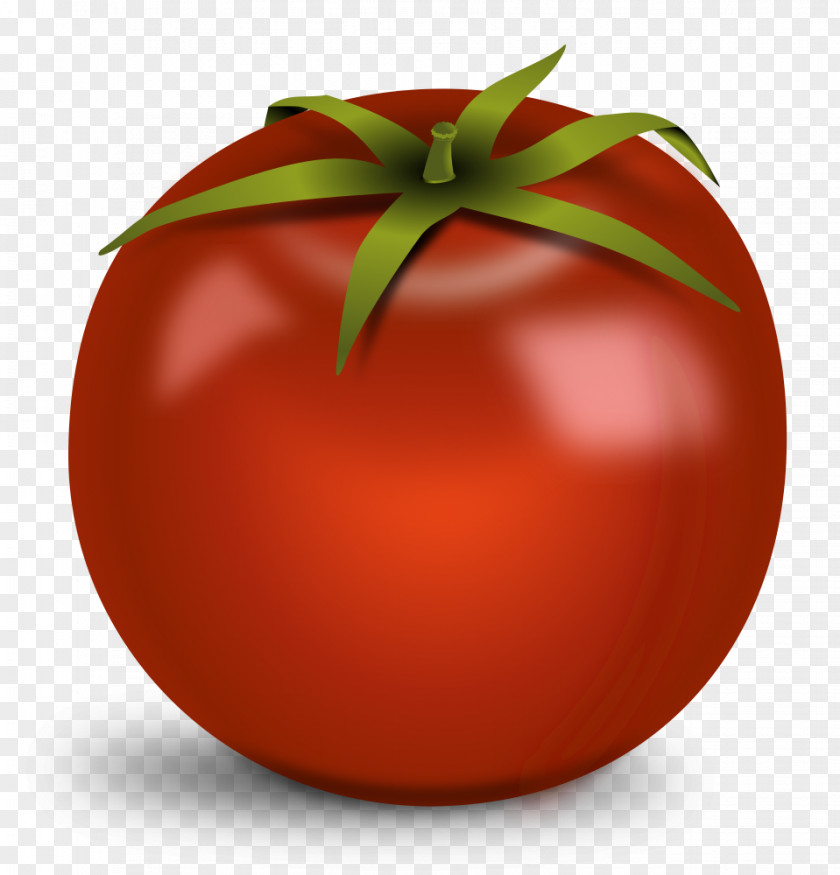 Vegetable Clip Art Tomato Soup Transparency Salsa PNG