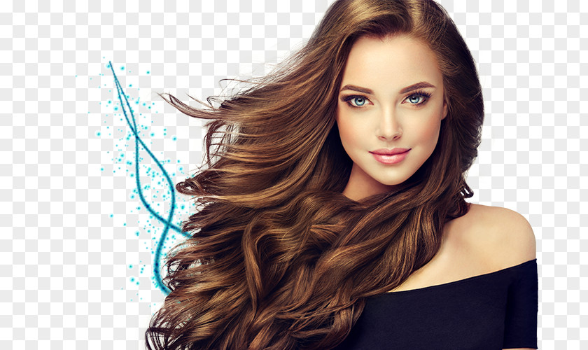 Artificial Hair Integrations Hairdresser Hairstyle Care PNG hair integrations Care, clipart PNG