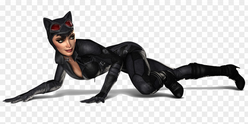 Batman Arkham City Catwoman Batman: Poison Ivy Joker PNG