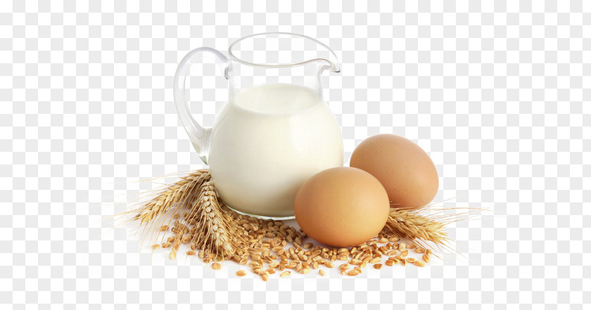 Breakfast Milk Dairy Product Food Egg PNG
