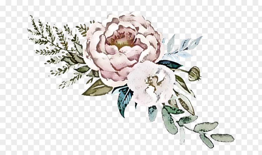 Floral Design PNG