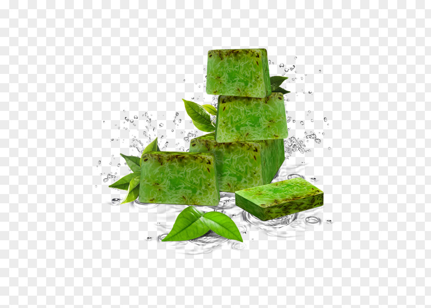 Green Tea Soap Aloe Vera Oil Extract PNG