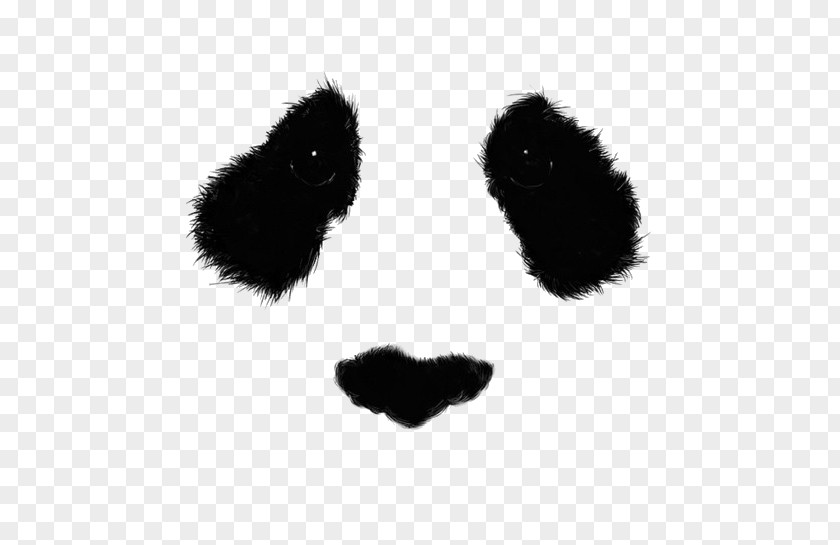 Panada Giant Panda Drawing Bear Eye Art PNG