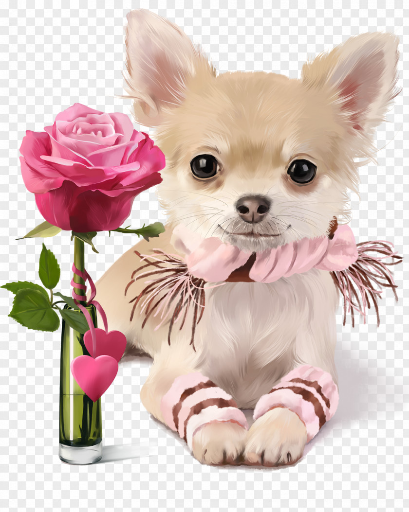 Puppy Chihuahua Pug Painting Image PNG