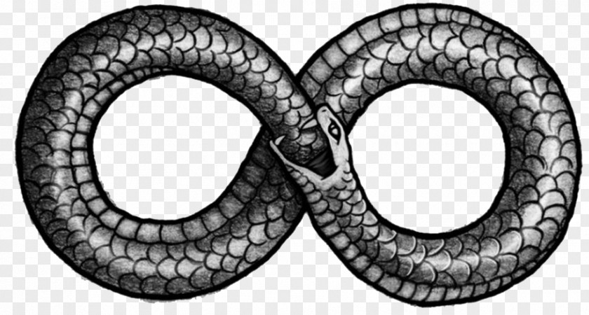 Snake Logo Snakes Ouroboros Infinity Symbol Tattoo Serpent PNG