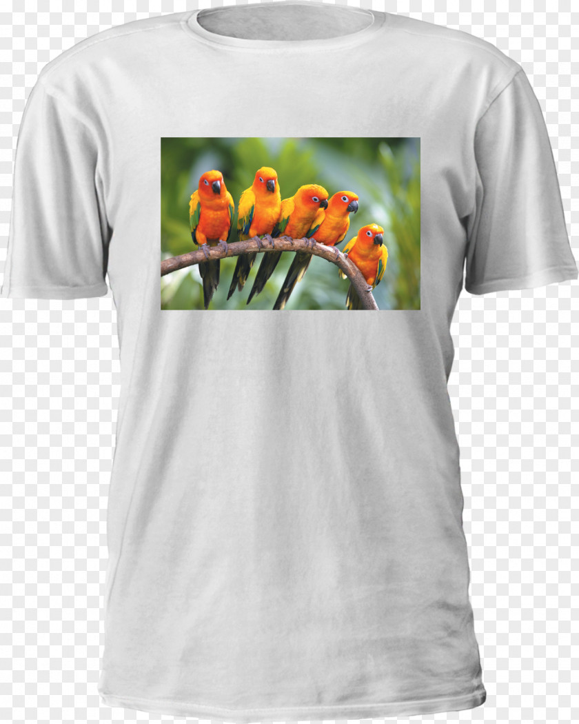 T-shirt Printed Hoodie Dye-sublimation Printer Printing PNG
