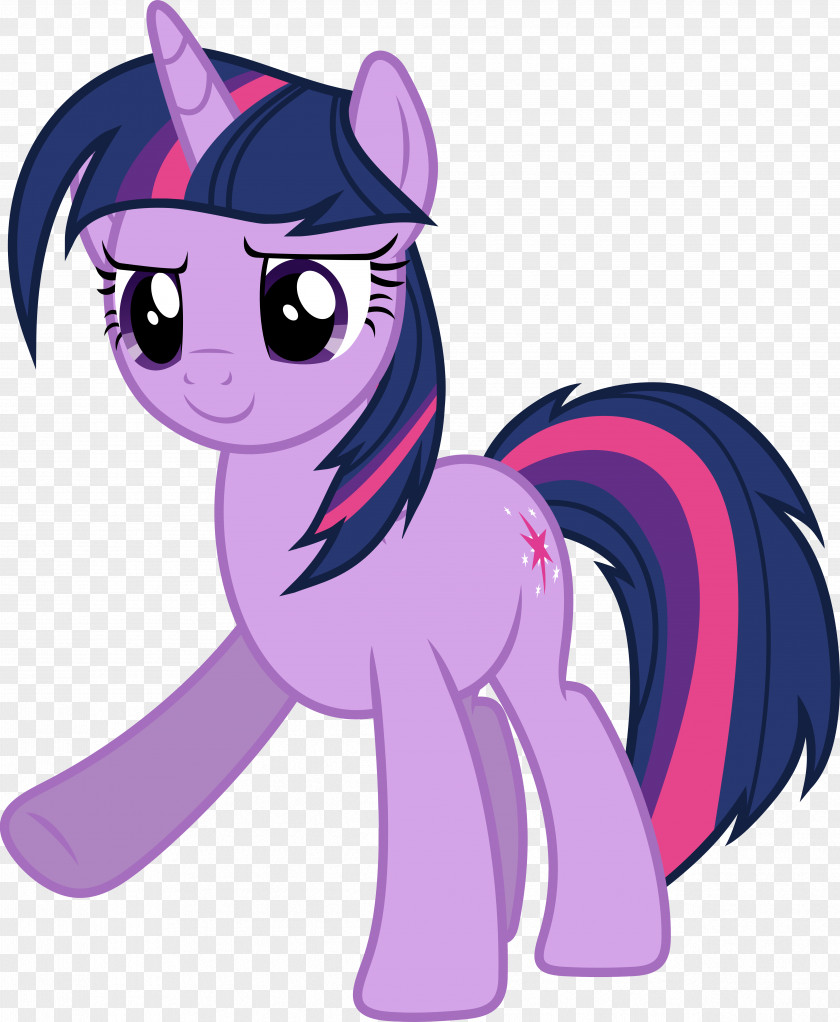 Twilight Sparkle Pinkie Pie My Little Pony Winged Unicorn PNG