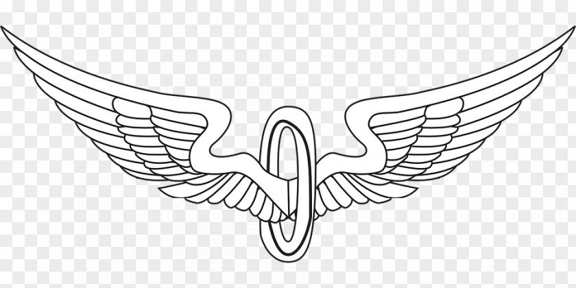 Wing Logo Drawing Clip Art PNG