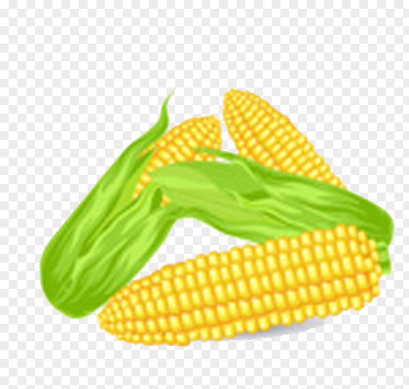 Corn On The Cob Kettle Maize Drawing PNG