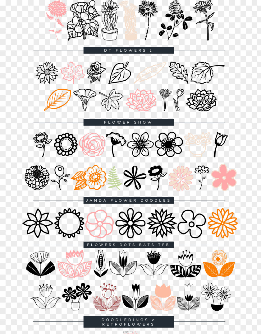Flower Clip Art Drawing Design Illustration PNG