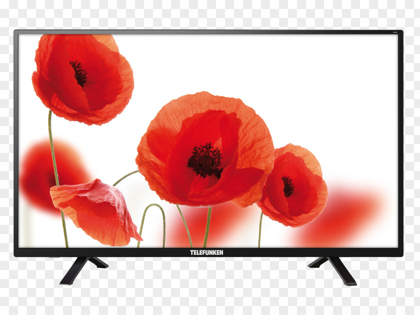 Home Electronics Telefunken High-definition Television 1080p LED-backlit LCD PNG