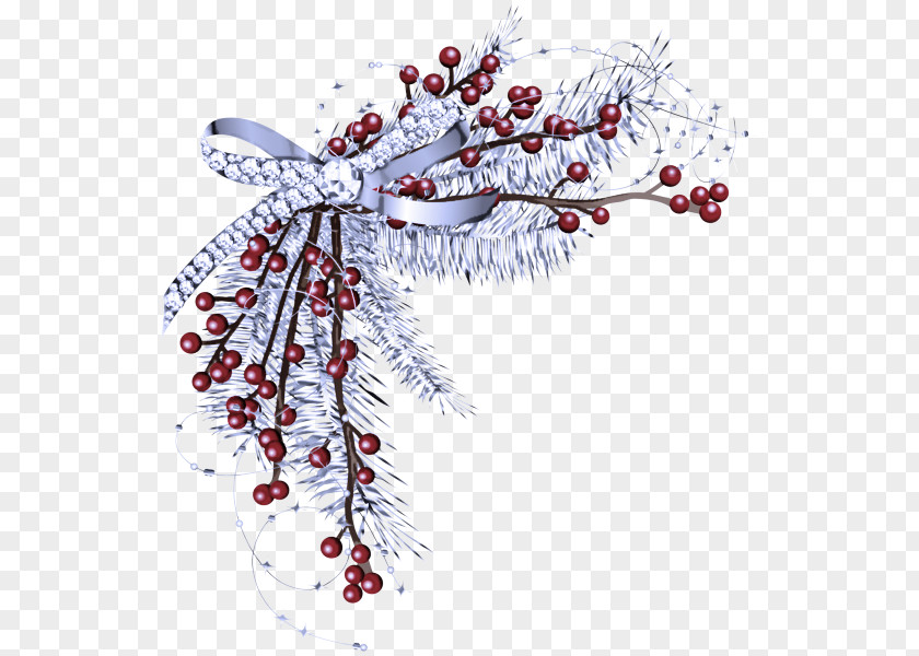 Ornament Berry Holly PNG