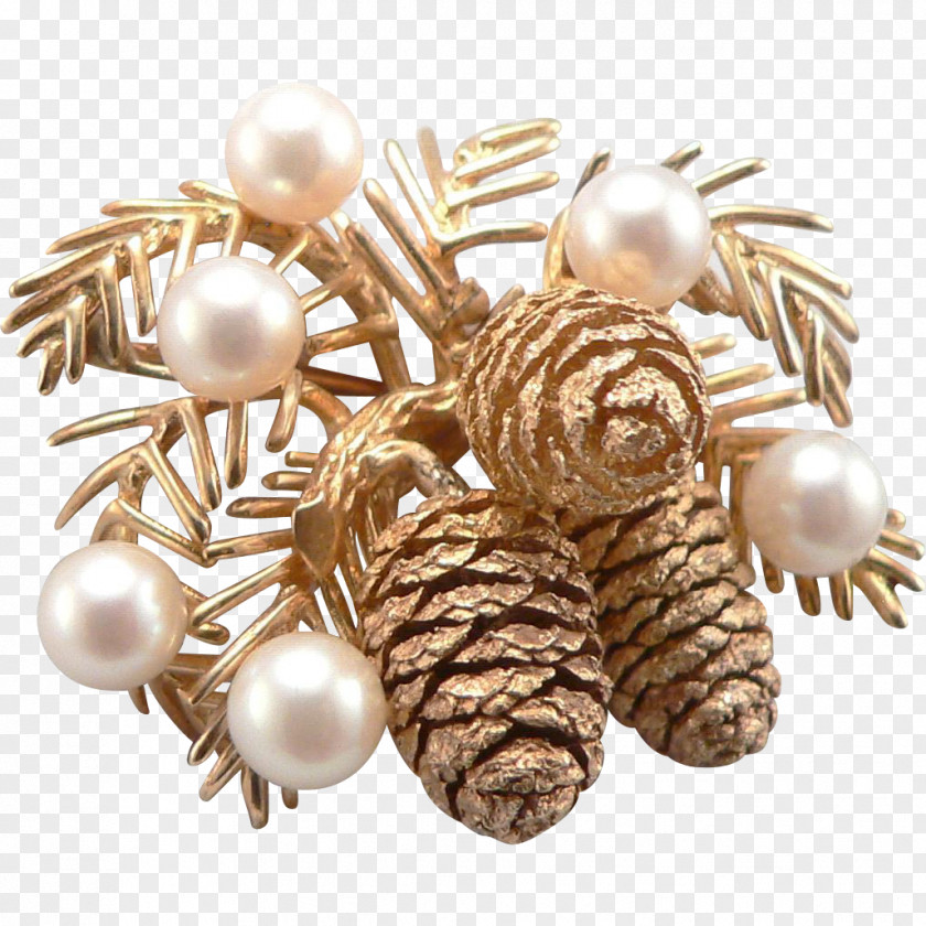 Pine Cone Jewellery Earring Clothing Accessories Gemstone Brooch PNG