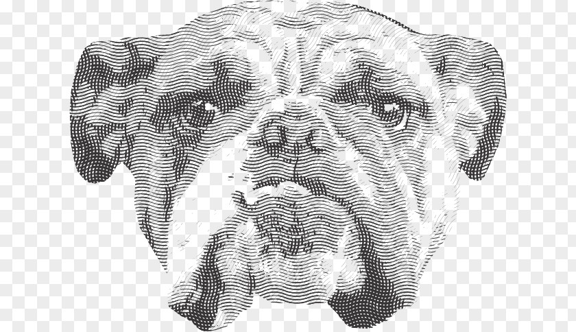 Corel Draw Dog Breed Non-sporting Group Bulldog Snout Smiley PNG