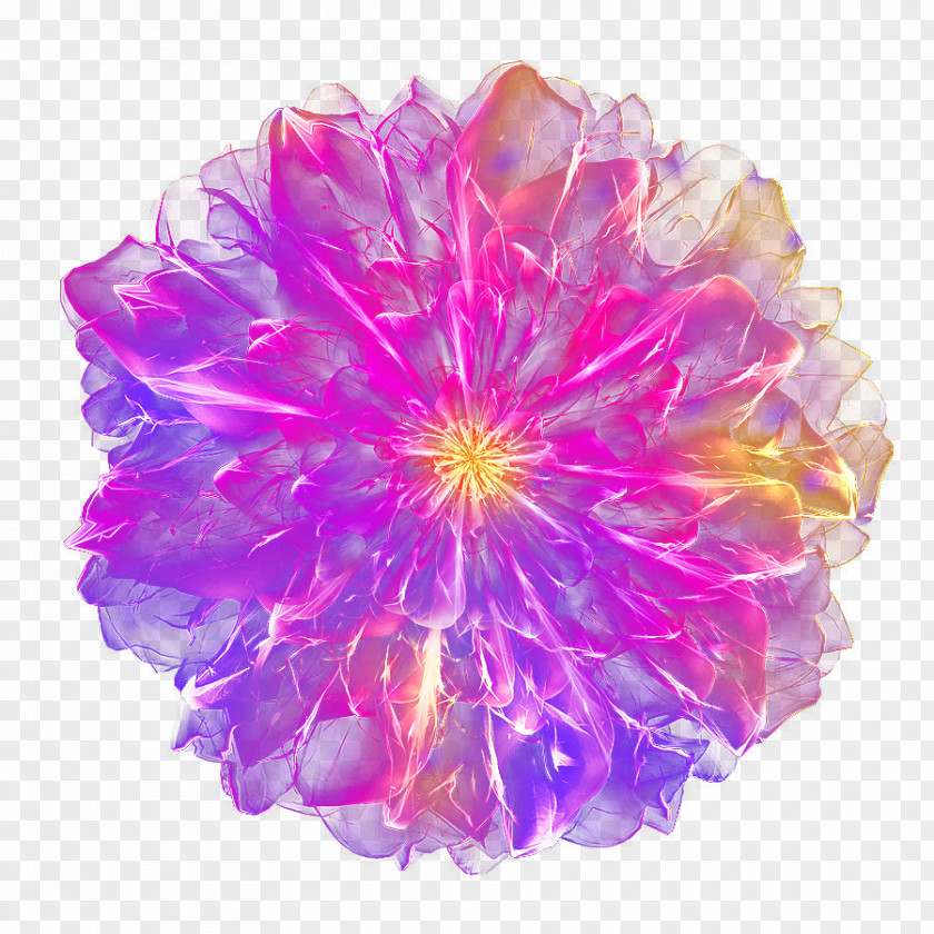 Dream Purple Flower Top View PNG