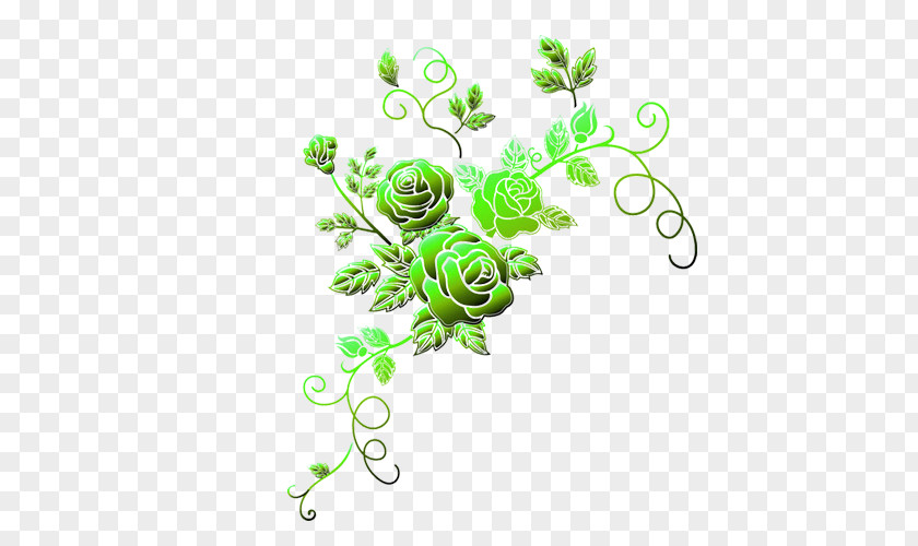 Green Chrysanthemum Download Clip Art PNG