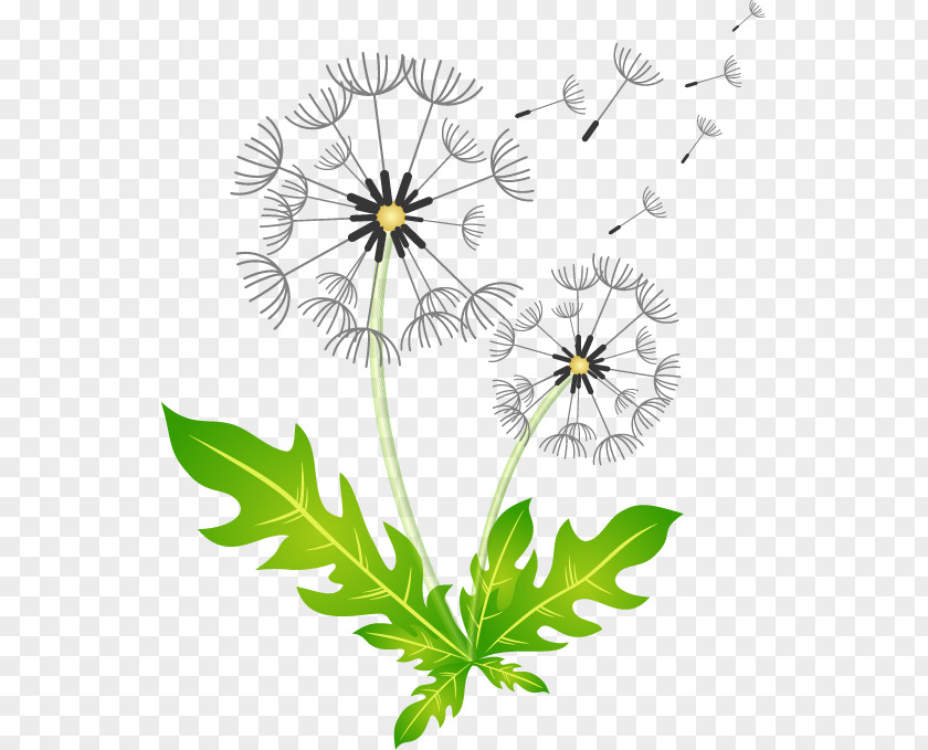 Hand-painted Dandelion Pattern Royalty-free Illustration PNG