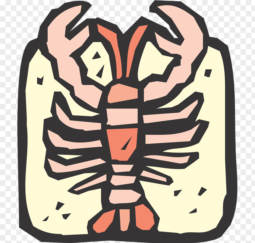 Mol Clip Art PNG