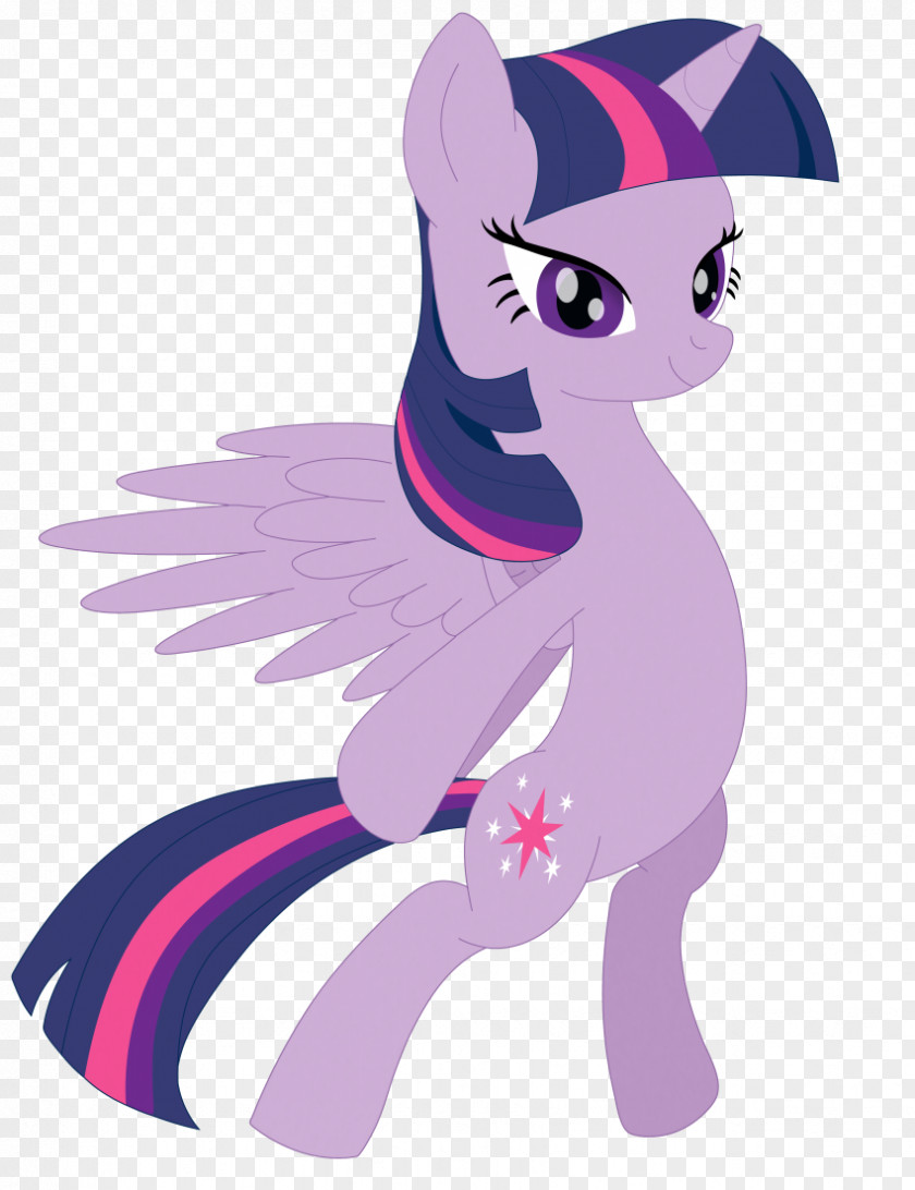 My Little Pony Twilight Sparkle Winged Unicorn Rainbow Dash PNG