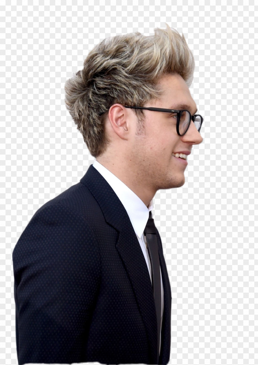 One Direction Niall Horan Made In The A.M. PNG
