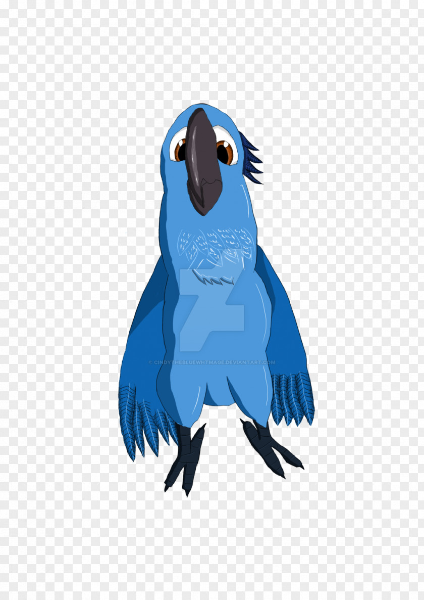 Rio Jewel Blu Nigel Macaw Parrot PNG