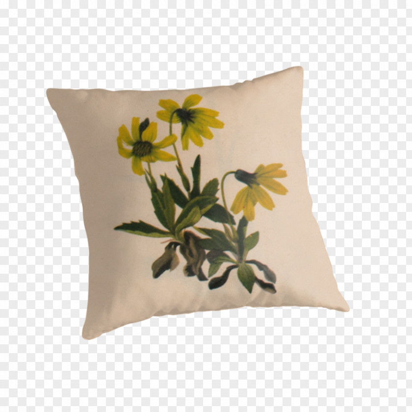 Watercolor Red Flower Lake Louise Arnica (Arnica Louisiana) Cushion Throw Pillows United States PNG