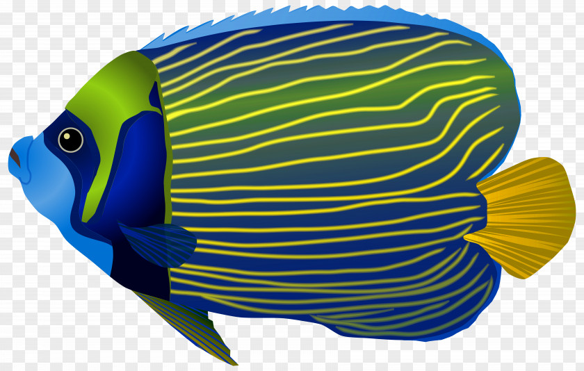 Blue Fish Clip Art Image Papua New Guinea Underwater Ocean Sea PNG