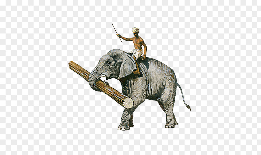 Hand-painted Indian Elephant African Illustration PNG