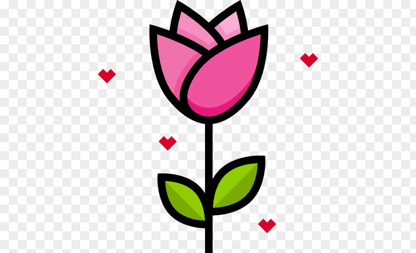 Rose Symbol Rasadnik 