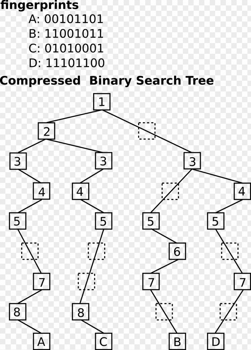 Tree Drawing B-tree Binary PNG