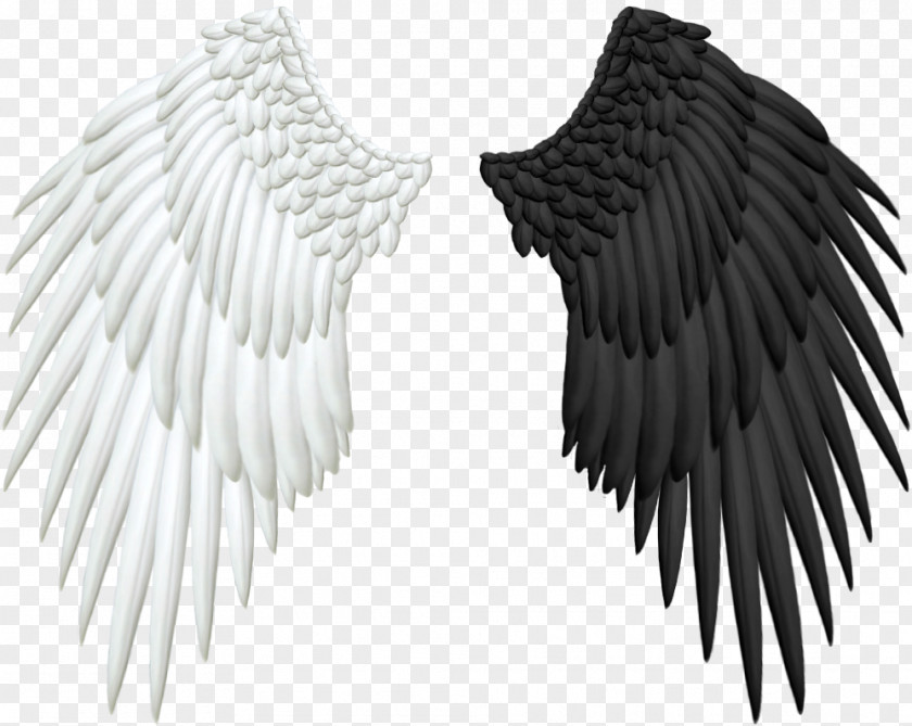 Angel Wings Clip Art PNG