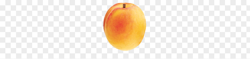 Apricot PNG clipart PNG