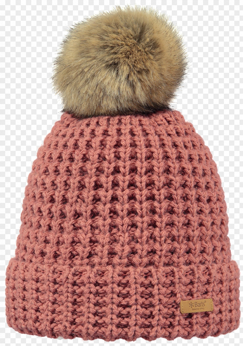 Beanie Knit Cap Barts Ladies Bonnie Hat PNG