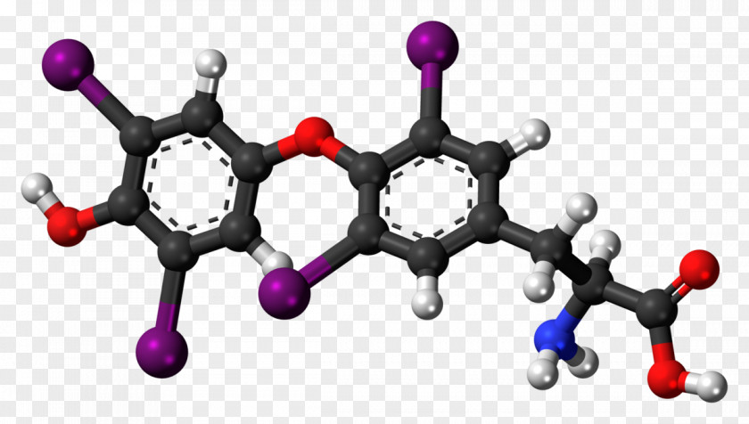 Biological Tyrosine Levodopa Dopamine Norepinephrine Phenylalanine PNG