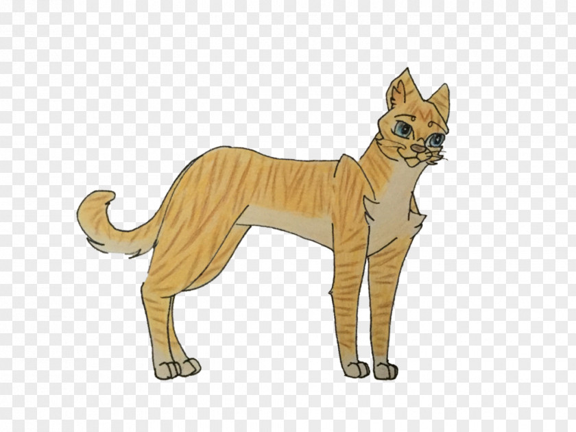 Cat Whiskers Lion Dog Breed PNG