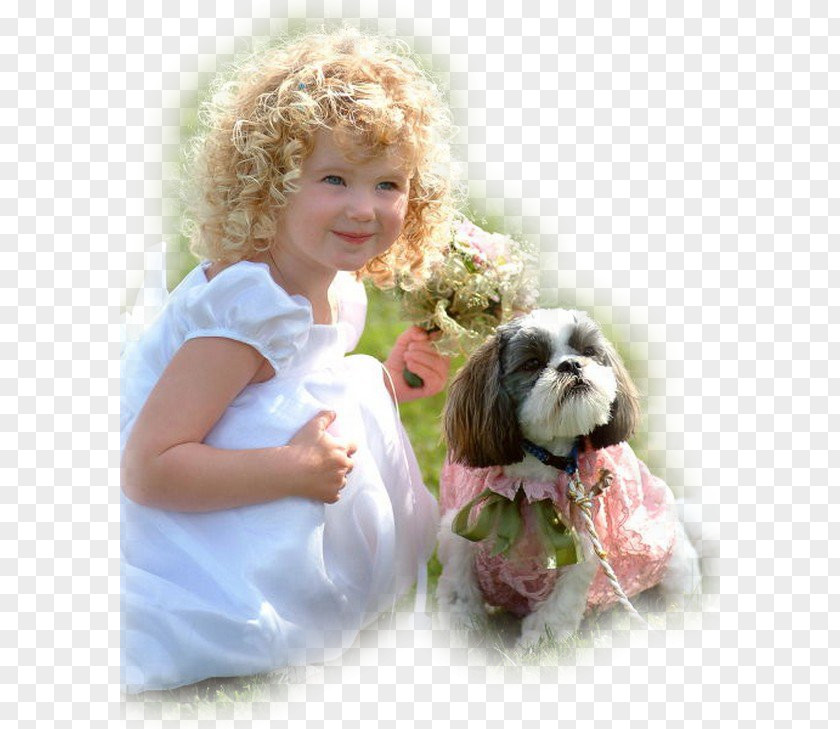 Child Shih Tzu Dogs 101 Infant Family PNG