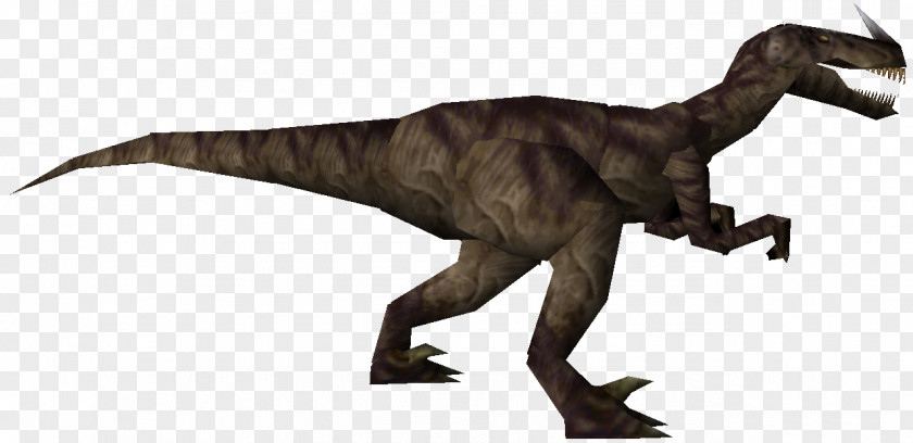 Dinosaurs Turok: Dinosaur Hunter Tyrannosaurus Velociraptor PNG
