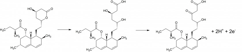 Mechanism Simvastatin Beta Hydroxy Acid Monochrome Alpha PNG