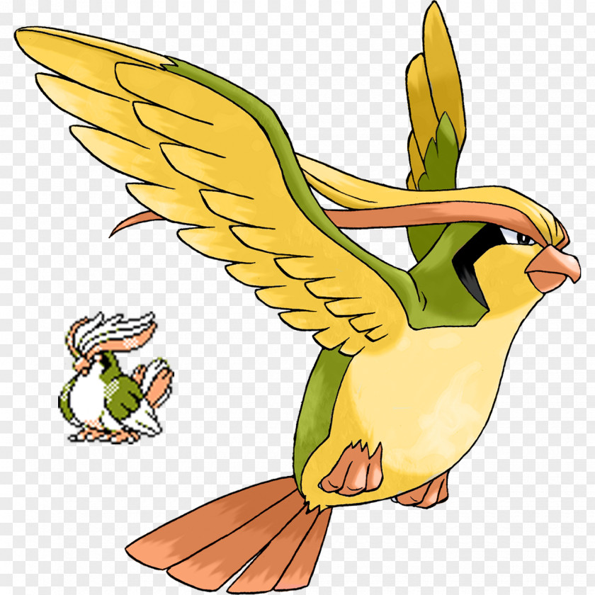 Pokemon Go Pokémon GO Battle Revolution Pidgeotto PNG