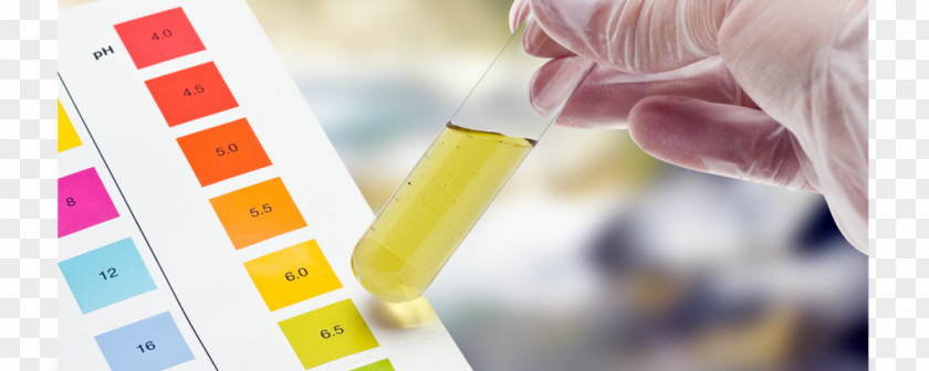 Water Chemistry Science Acid–base Reaction Immunoglobulin M PNG