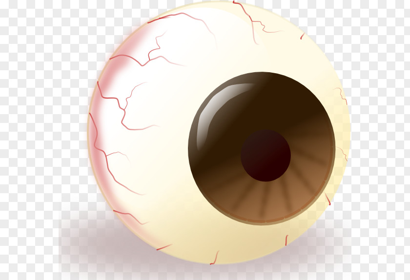 Eyeball Graphics Eye Iris Clip Art PNG