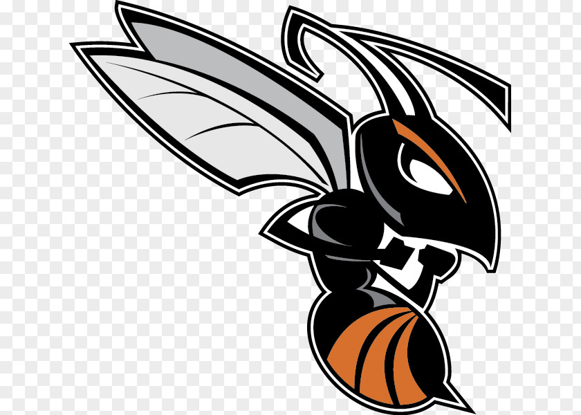 Hornet Kalamazoo College Hornets Football Trine University Michigan Intercollegiate Athletic Association Olivet PNG