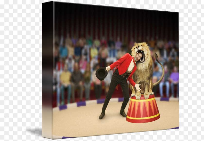 Lion Dance Taming Tiger Entertainment Circus PNG