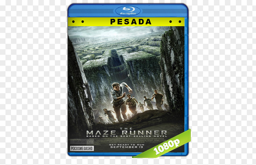 Painting Maze Runner Film Poster PNG