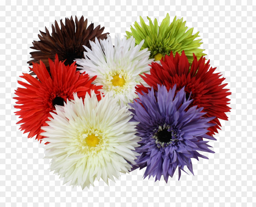Ribbon Awareness Grosgrain Cut Flowers Floral Design PNG