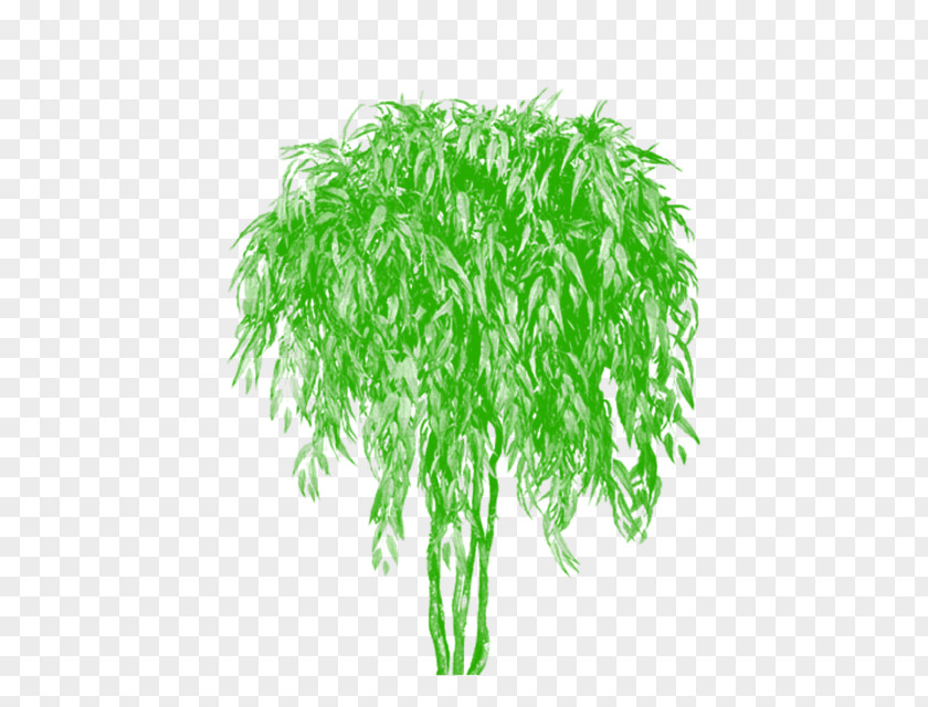 Tree Psd Euclidean Vector Bamboo PNG