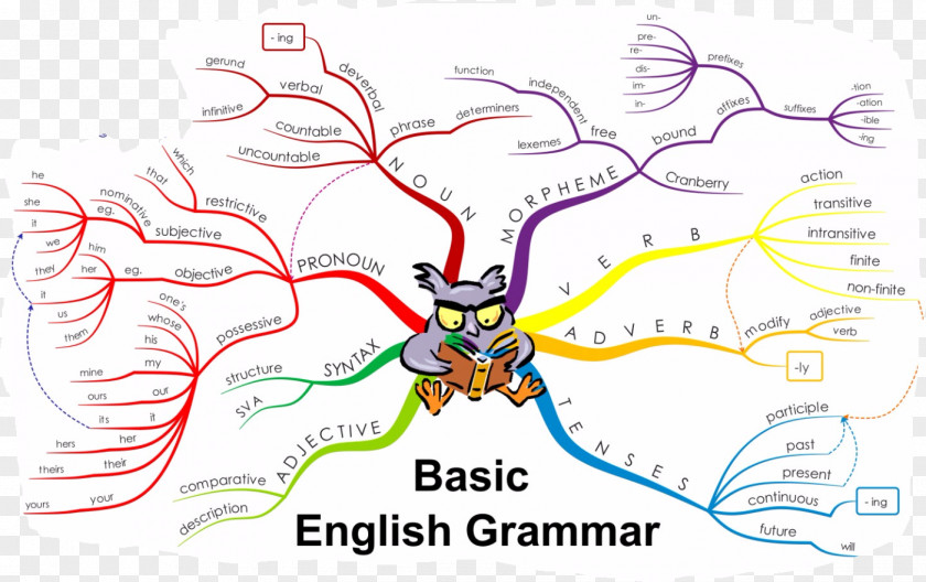 English Grammar: An Introduction Modal Verb PNG