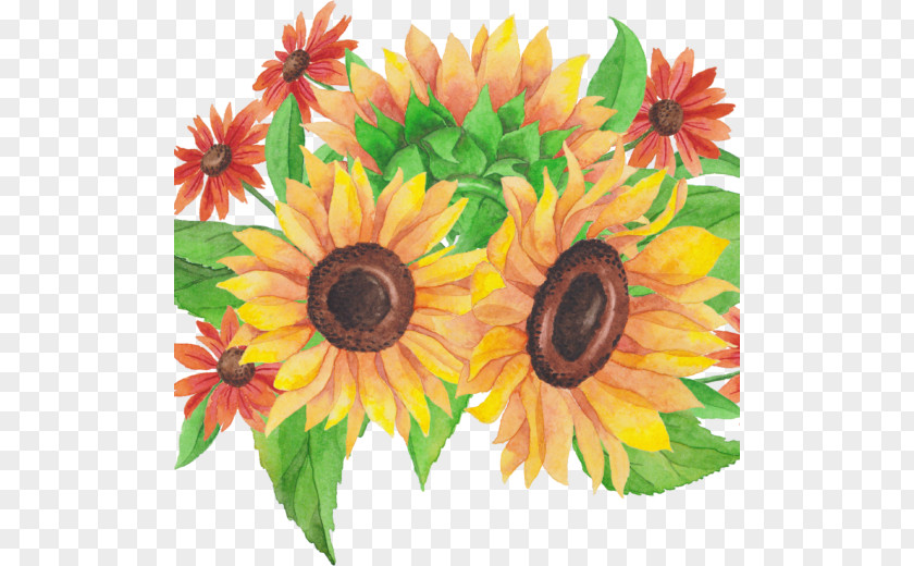 Flower Common Sunflower Bouquet Cut Flowers Floral Design PNG