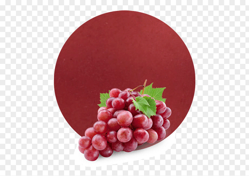 Grape Common Vine Stock Photography Royalty-free PNG